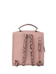 Fiorelli Isla Small Backpack - Image 3 of 4