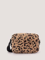 Fiorelli Effie Webbed Cross-Body Bag - Image 1 of 4