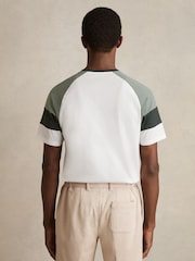 Blanco/salvia - Reiss Adan Mercerised-Cotton Colourblock T-Shirt - Imagen 5 de 6