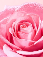 Nuxe Very Rose Cleansing Oil 150ml - Image 4 of 5