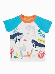 Frugi White Reid Raglan 100% Organic Cotton T-Shirt - Image 2 of 4