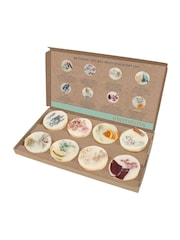 Stoneglow Elements Wax Melt Discovery Set - Image 1 of 1