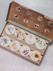Stoneglow Elements Nude Wax Melts Discovery Set - Image 2 of 2