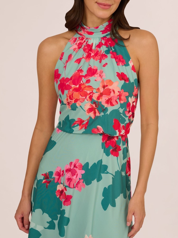 bohemian halter neck dress Fleur Marina Floral Mesh Halter Neck Maxi Dress in Taupe/Blue