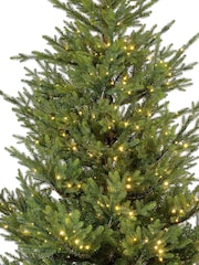Everlands Green Norway Spruce Pre Lit 7ft Christmas Tree - Image 6 of 11