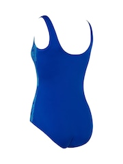 Zoggs Blue Nautilus Scoopback Swimsuit - Imagen 6 de 6