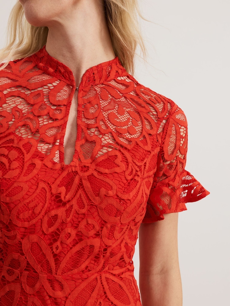 Buy Phase Eight Red Lula Lace Dress from Next USA