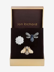 Jon Richard Gold Bug Brooch Gift Boxes 3 Pack - Image 1 of 4