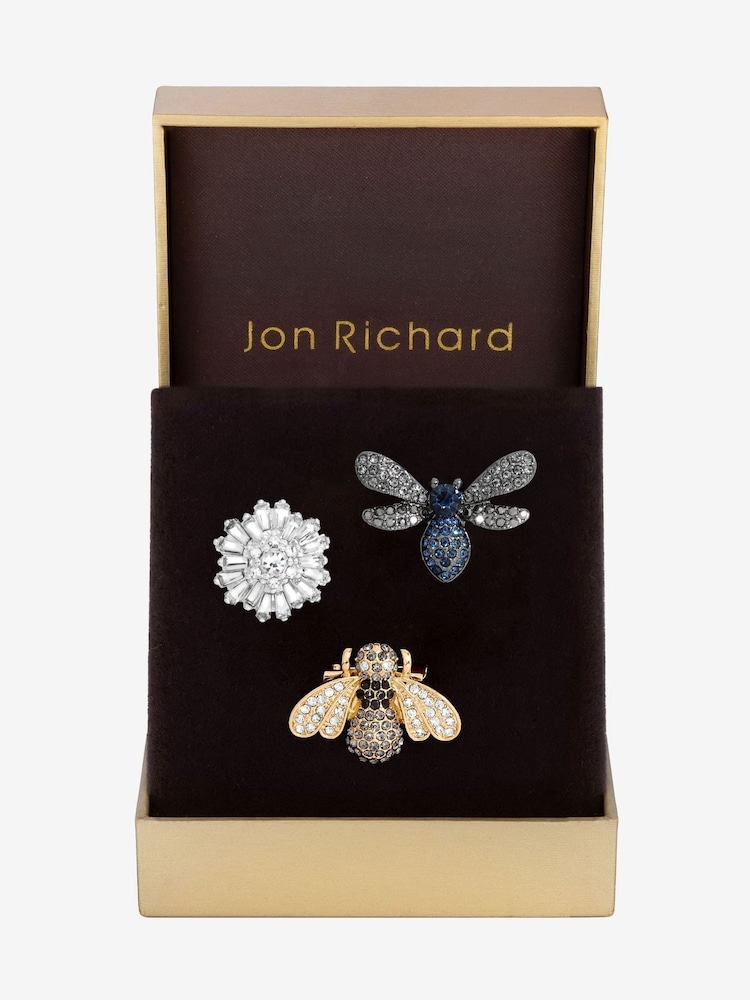 Jon Richard Gold Bug Brooch Gift Boxes 3 Pack - Image 1 of 4