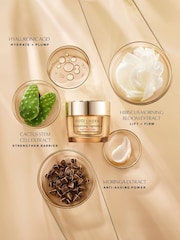Estée Lauder Revitalizing Supreme+ Moisturiser Refill Skincare Gift Set (Worth £154) - Image 4 of 5