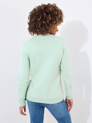 Joe Browns Elephant Graphic 100% Cotton Sweatshirt - صورة 2 من 5