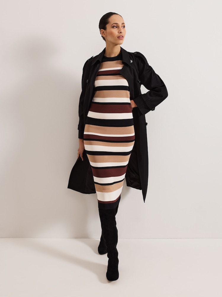 Phase Eight Natural Louisa Stripe Skirt - Image 6 of 6