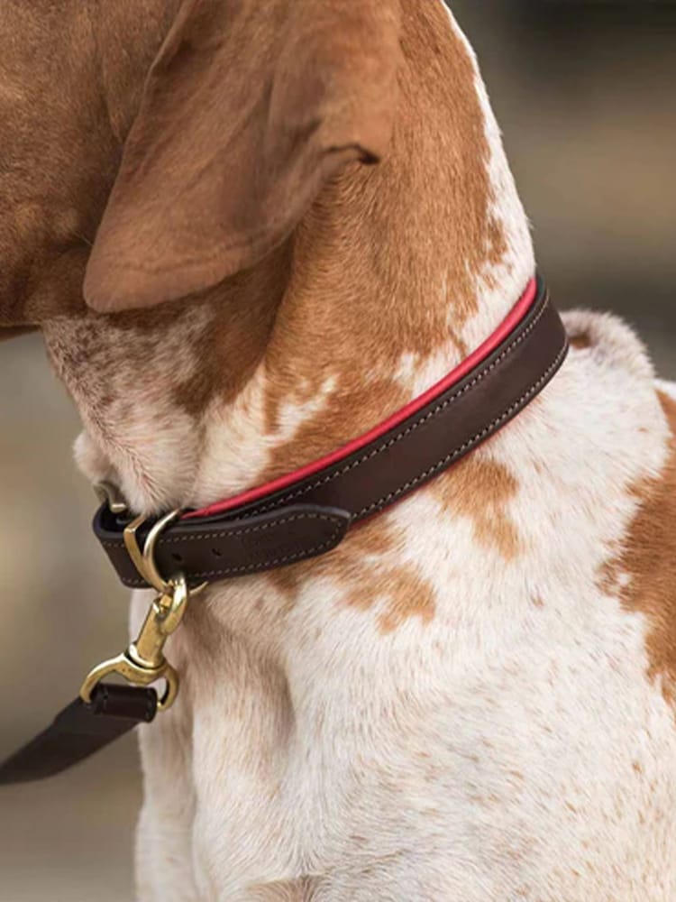 Lords and Labradors Brown Red Italian Leather Dog Lead - Image 2 of 4