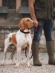 Lords and Labradors Brown Red Italian Leather Dog Lead - Image 3 of 4