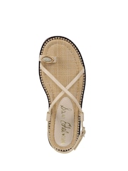 Sam Edelman Regular Fit Tenly Black Sandals - Image 5 of 6
