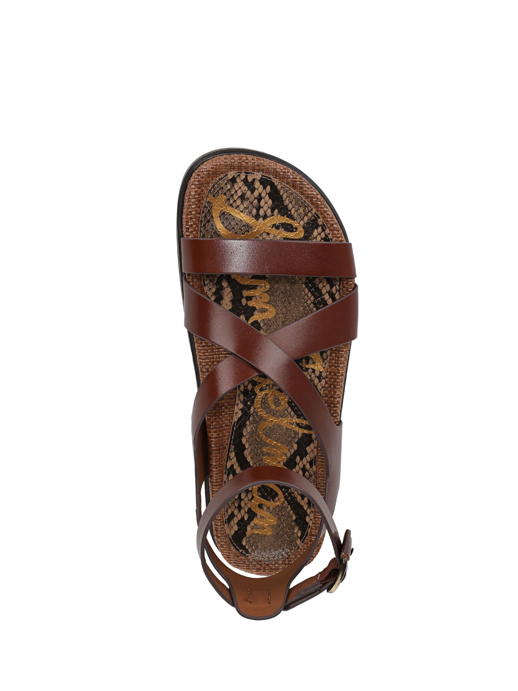 Buy Sam Edelman Regular Fit Delia Gladiator Sandals from Next USA