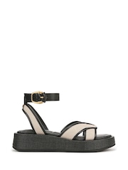 Sam Edelman Regular Fit Nylie Gladiator Black Sandals - Image 1 of 6