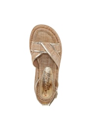 Sam Edelman Regular Fit Nylie Gladiator Black Sandals - Image 5 of 6