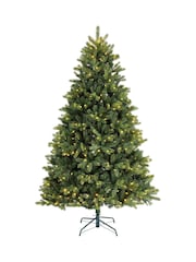 Everlands Freiburg Pine 6ft Pre Lit Colour Switch Christmas Tree - Image 5 of 8