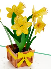 Hallmark Yellow Paper Wonder 3D Pop Up Daffodils Easter Card - Image 2 of 6
