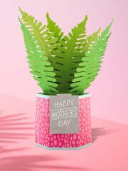 Hallmark 3D Pop Up Fern Plant Mothers Day Card - Image 1 of 6