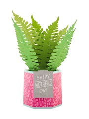 Hallmark 3D Pop Up Fern Plant Mothers Day Card - Image 2 of 6