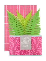 Hallmark 3D Pop Up Fern Plant Mothers Day Card - Image 3 of 6