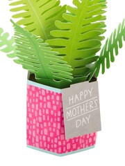 Hallmark 3D Pop Up Fern Plant Mothers Day Card - Image 5 of 6