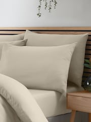 Catherine Lansfield 4 Pack Natural So Soft Non-Iron Pillowcases - Image 2 of 2
