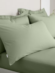 Bianca Sage 200 Thread Count 100% Cotton Pillowcase Pair - Image 1 of 4