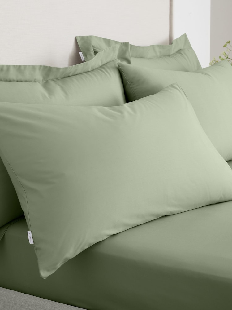 Bianca Sage 200 Thread Count 100% Cotton Pillowcase Pair - Image 1 of 4
