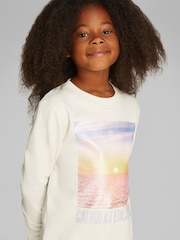 Calvin Klein Brown 100% Cotton Sunset Graphic Terry Sweatshirt - Image 3 of 5