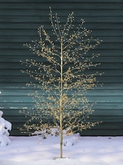 Lumineo Champagne Gold Pre Lit 5ft Outdoor LED Christmas Tree - Image 1 of 2