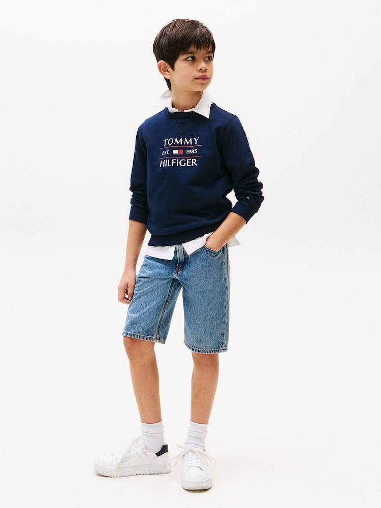 Tommy Hilfiger Blue Flag Sweatshirt - Image 4 of 5