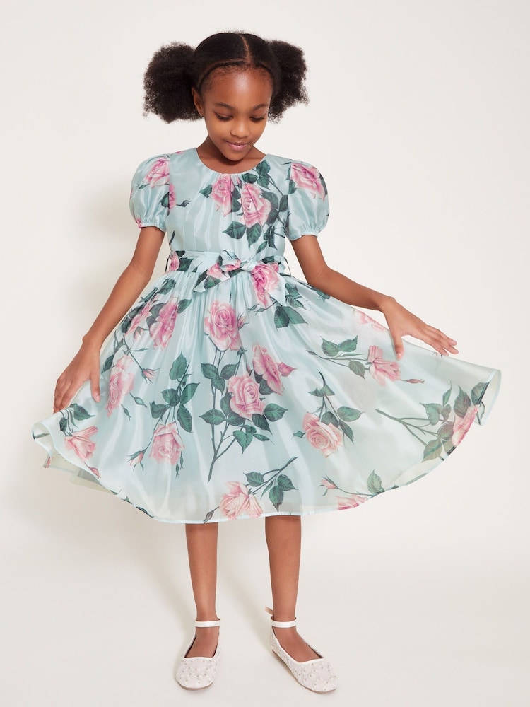 Monsoon Green Rosaline Flower Print Organza Dress - Image 1 of 4