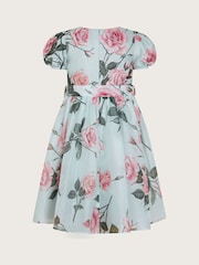 Monsoon Green Rosaline Flower Print Organza Dress - Image 3 of 4