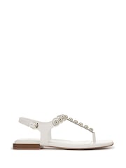 Naturalizer Regular Fit Nara Toe Post Brown Sandals - Image 1 of 7