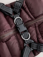 Burgundy Red Harness Dog Coat - Image 4 of 6