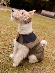 Khaki Green Cord Collar Dog Coat - Image 1 of 11