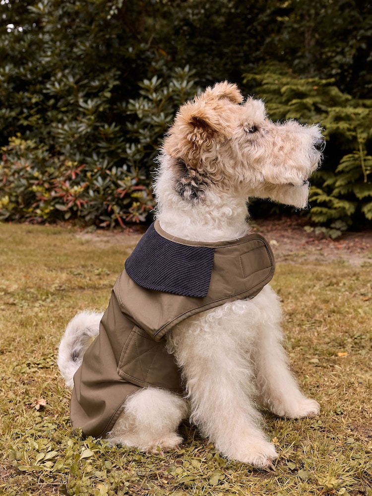 Khaki Green Cord Collar Dog Coat - Image 2 of 11