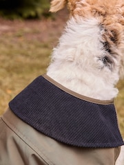 Khaki Green Cord Collar Dog Coat - Image 5 of 11