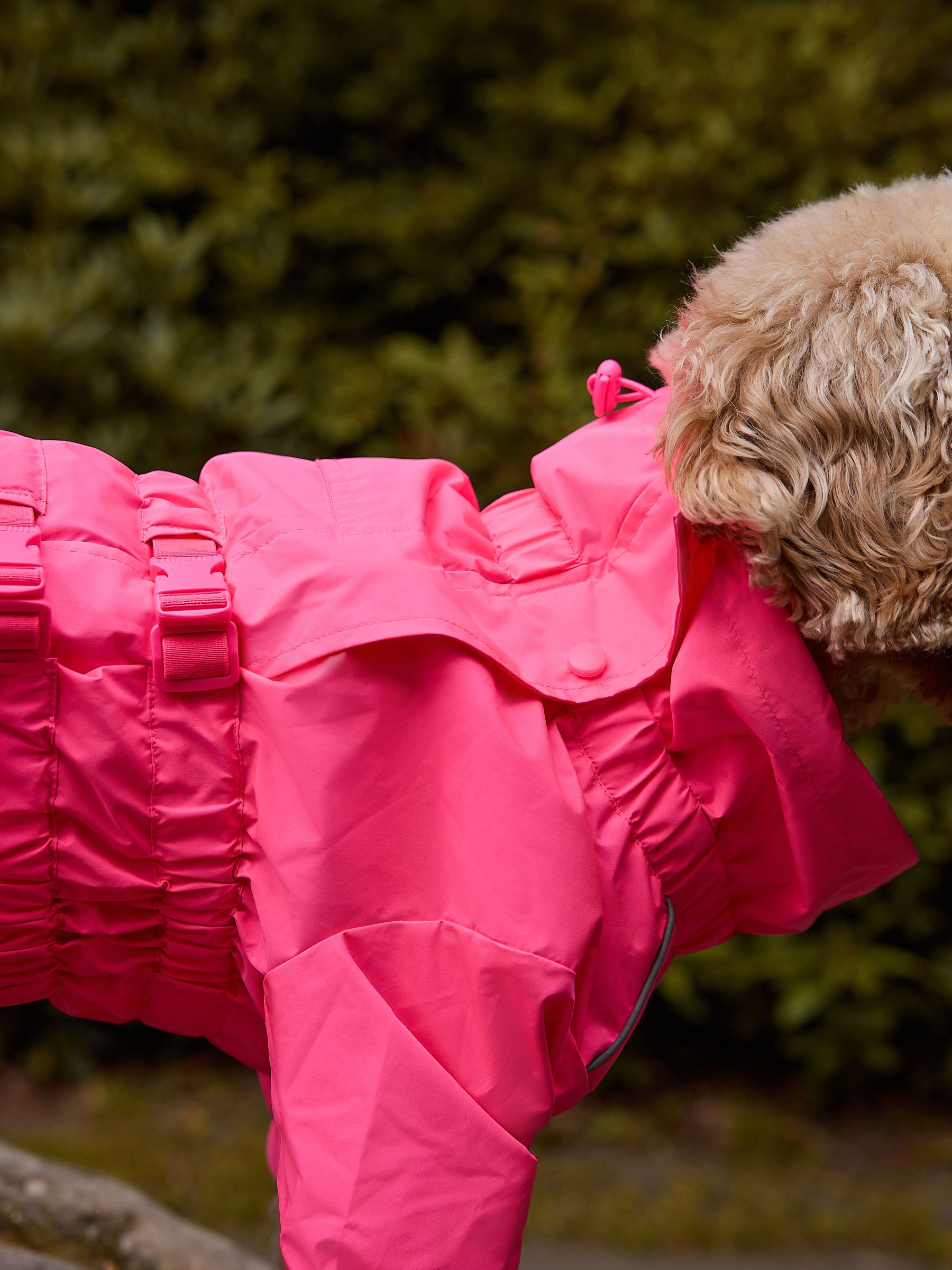 Buy Pink 4-Leg Waterproof Dog Coat from Next USA