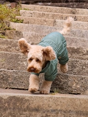 Mineral Green 4-Leg Waterproof Dog Coat - Image 6 of 10