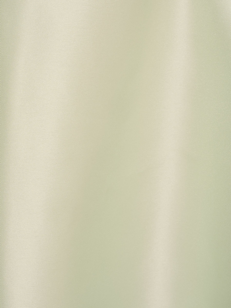 Adrianna Papell Sleeveless Tea Length Dress - Image 6 of 6 Adrianna Papell Sleeveless Tea Length Dress - Image 6 of 6
