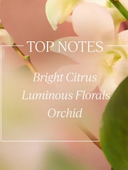 L'OCCITANE' Neroli Orchidee Hand Cream 75ml - Image 2 of 4