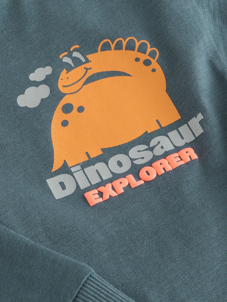 Anthrazit, Dinosaurier - Langärmeliges T-Shirt mit Rücken-Print (3 Monate bis 7 Jahre) - Bild 4 von 4