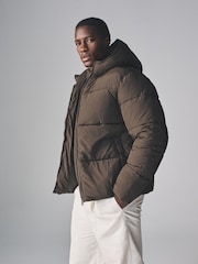 The Set Dark Khaki Short Padded Coat - Image 6 of 10