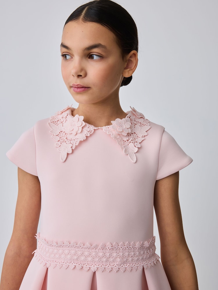 Buy Baker by Ted Baker Pink Lace Collared Scuba Dress from Next USA