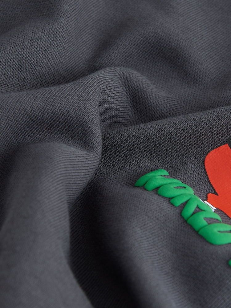 Charcoal Grey Christmas Crew Neck Jersey Sweatshirt (3mths-7yrs) - Image 8 of 8