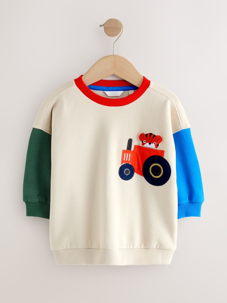 Ecru Colourblock Appliqué Crew Neck Jersey Sweatshirt (3mths-7yrs) - Image 1 of 4